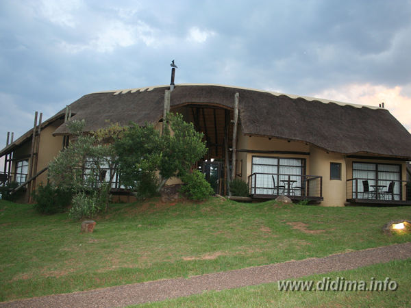 didima camp accommodation2.png